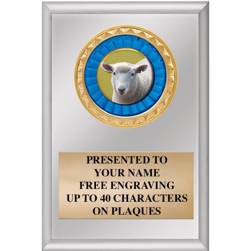 4" X 6" SILVER INSERT PLAQUE