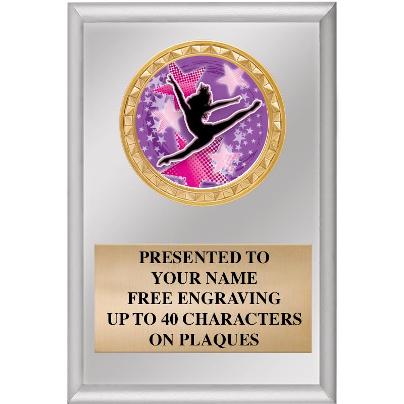 4" X 6" SILVER INSERT PLAQUE