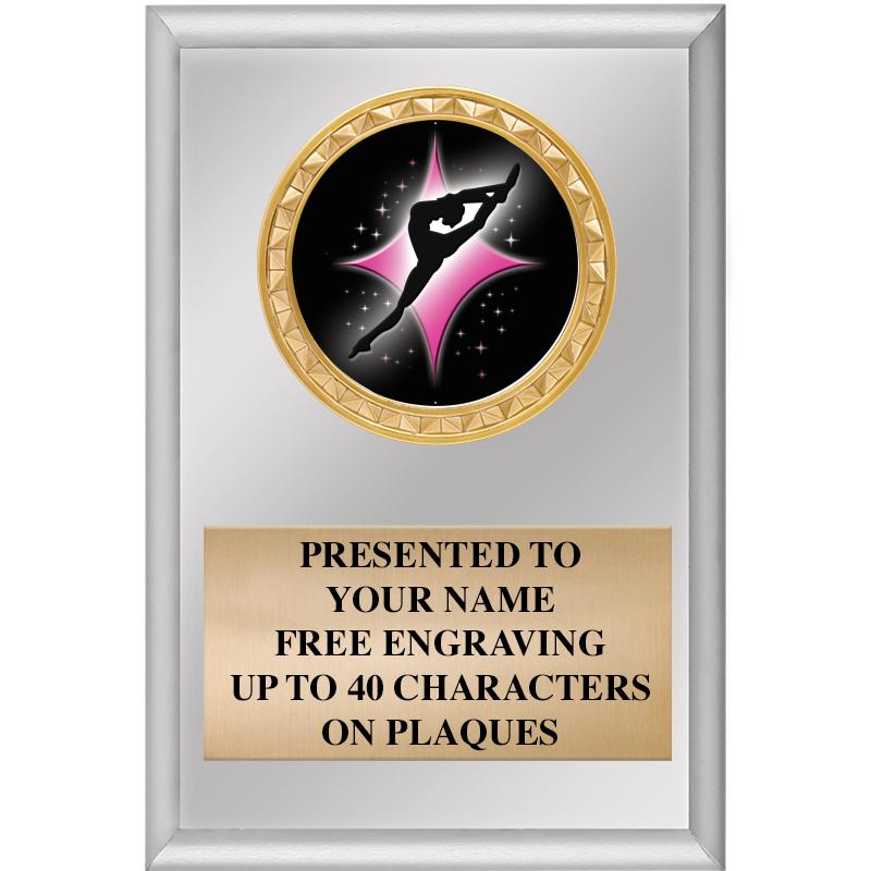 4" X 6" SILVER INSERT PLAQUE