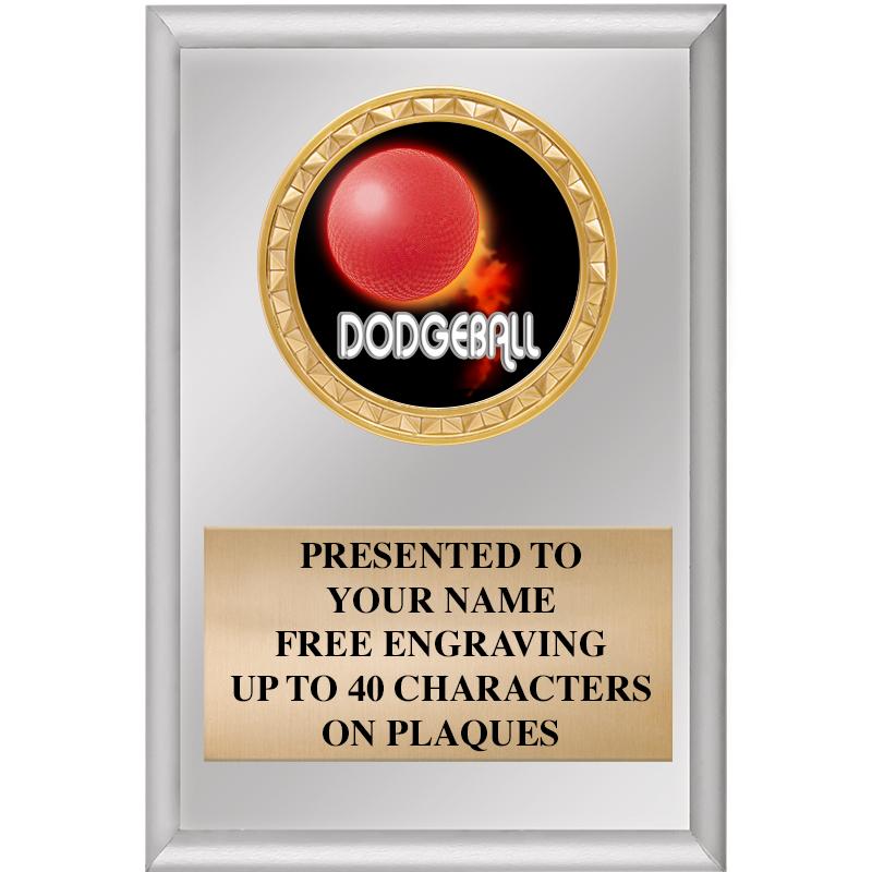 4" X 6" SILVER INSERT PLAQUE