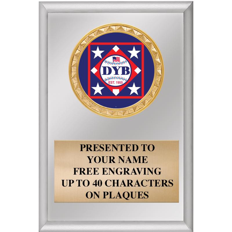 4" X 6" SILVER INSERT PLAQUE