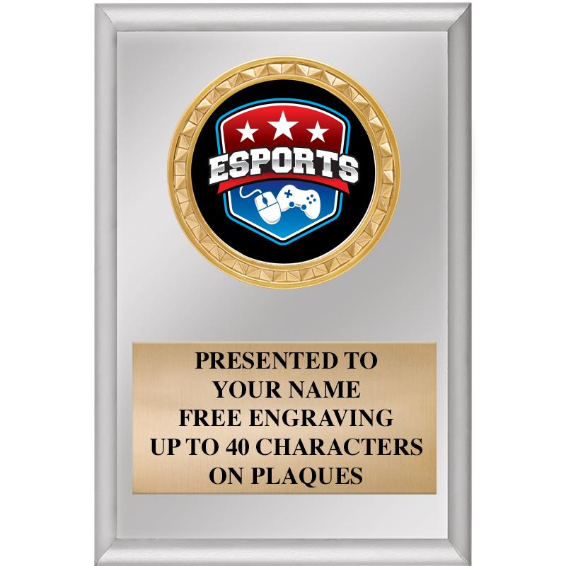 4" X 6" SILVER INSERT PLAQUE