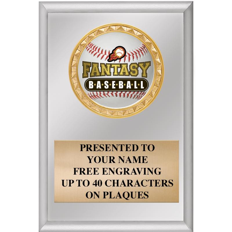 4" X 6" SILVER INSERT PLAQUE