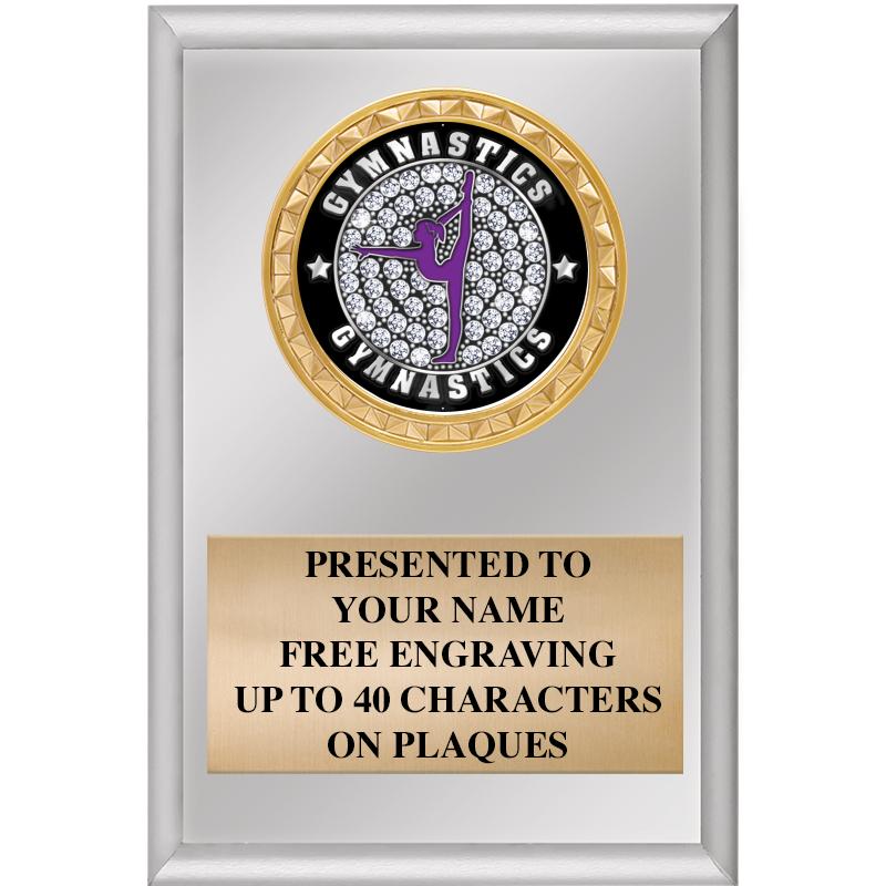 4" X 6" SILVER INSERT PLAQUE