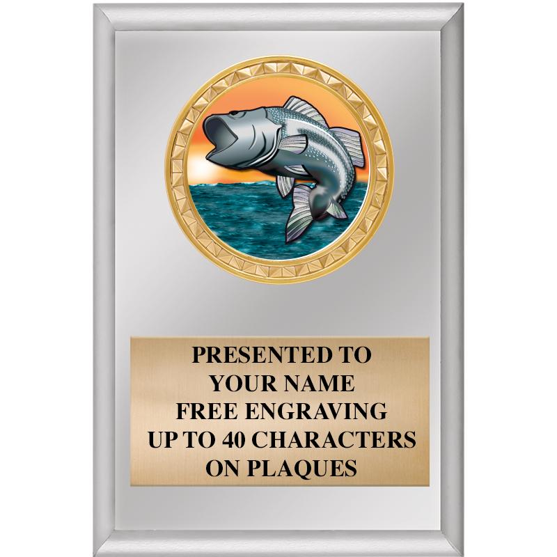 4" X 6" SILVER INSERT PLAQUE