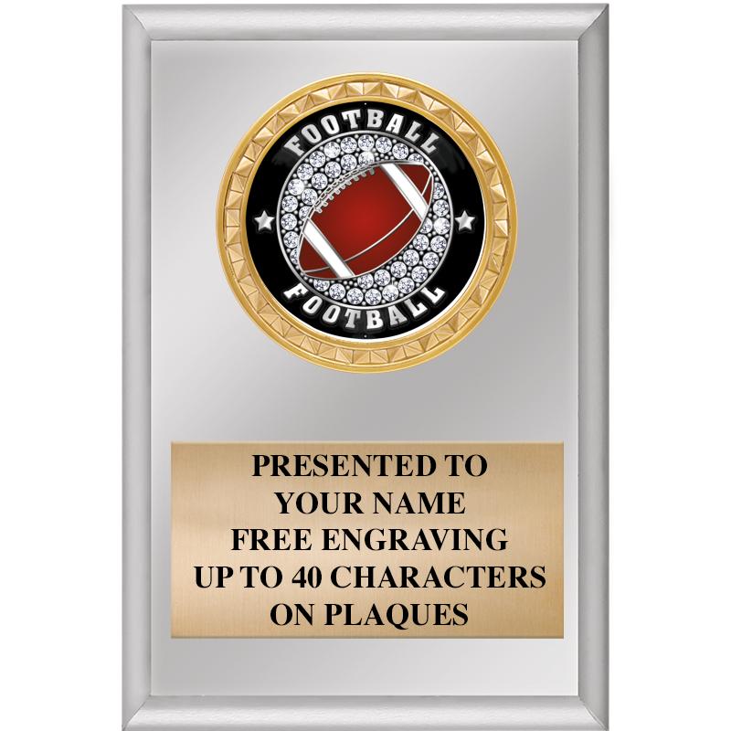 4" X 6" SILVER INSERT PLAQUE