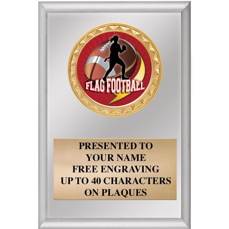 4" X 6" SILVER INSERT PLAQUE