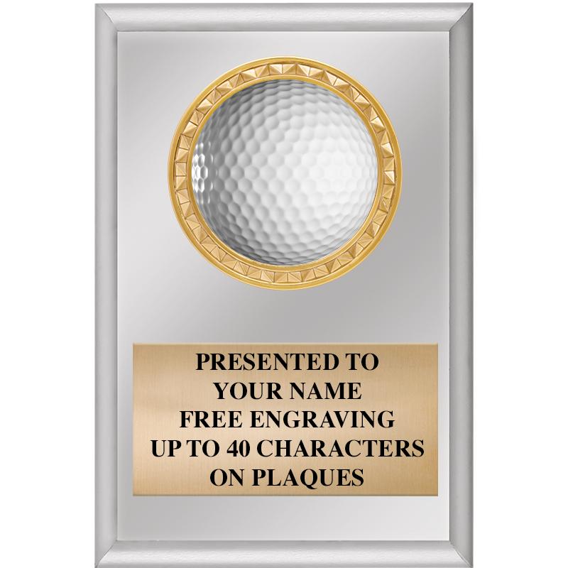 4" X 6" SILVER INSERT PLAQUE