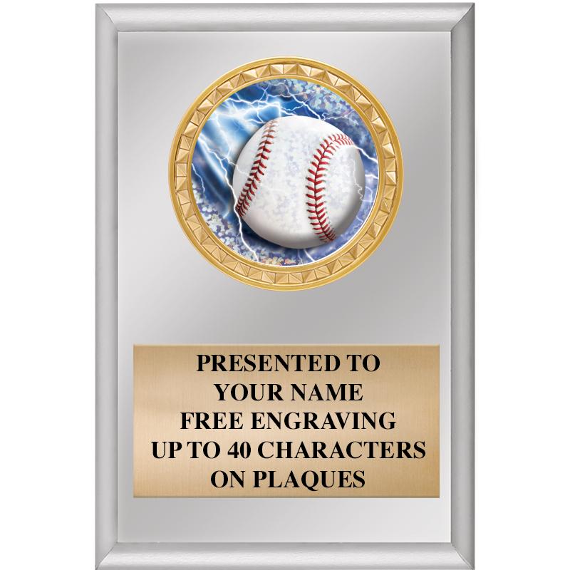 4" X 6" SILVER INSERT PLAQUE