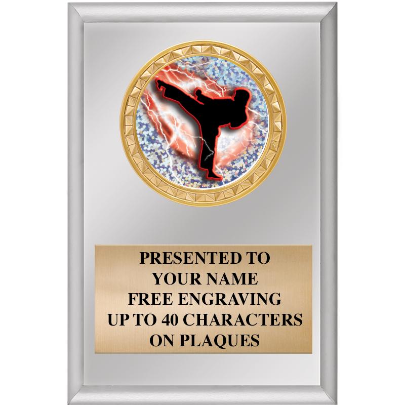 4" X 6" SILVER INSERT PLAQUE