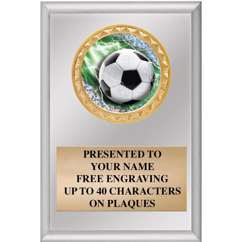 4" X 6" SILVER INSERT PLAQUE