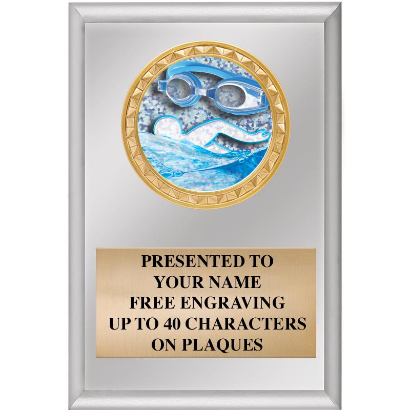 4" X 6" SILVER INSERT PLAQUE