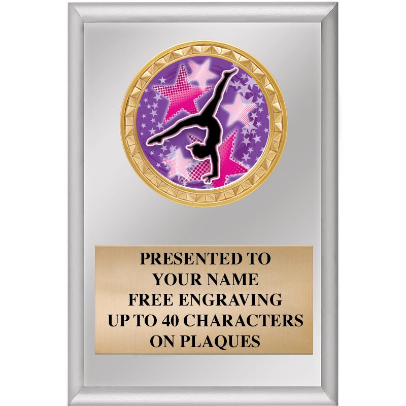 4" X 6" SILVER INSERT PLAQUE