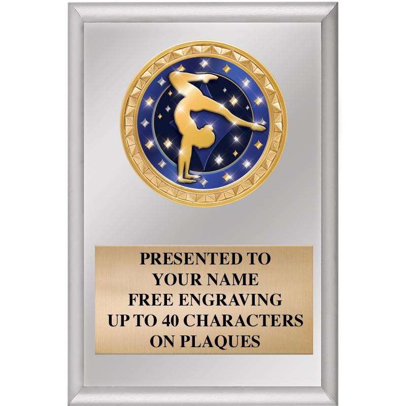 4" X 6" SILVER INSERT PLAQUE