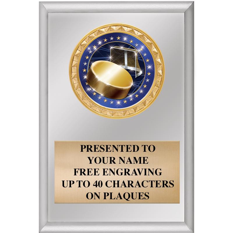 4" X 6" SILVER INSERT PLAQUE