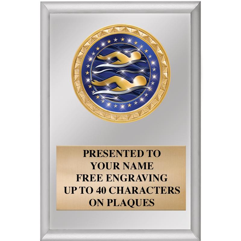 4" X 6" SILVER INSERT PLAQUE