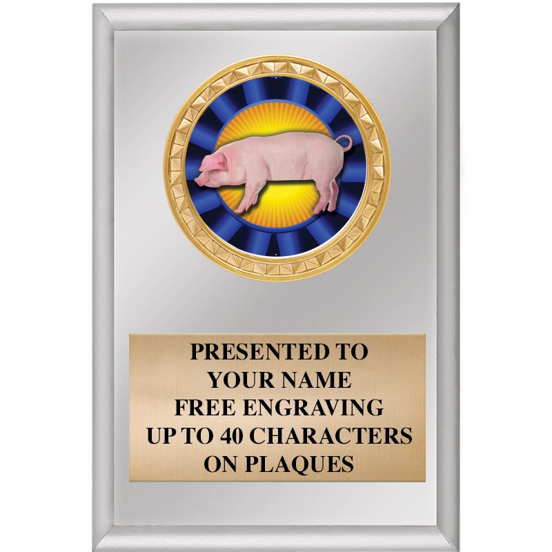 4" X 6" SILVER INSERT PLAQUE