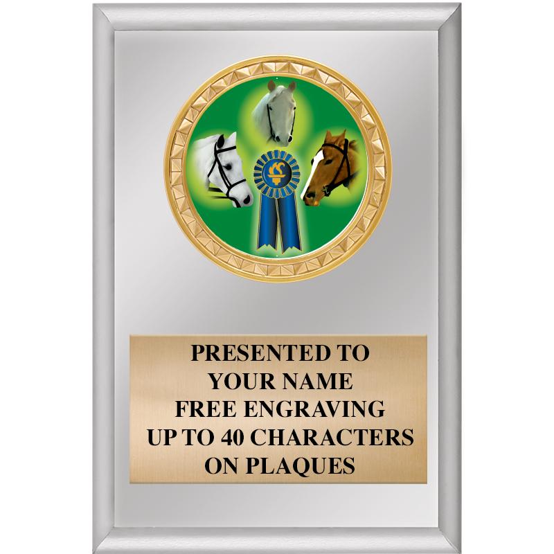 4" X 6" SILVER INSERT PLAQUE