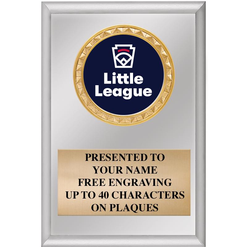 4" X 6" SILVER INSERT PLAQUE