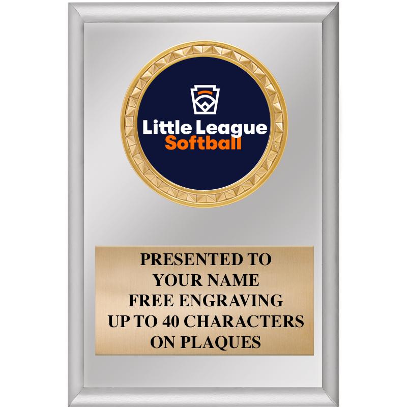 4" X 6" SILVER INSERT PLAQUE