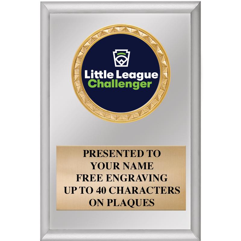 4" X 6" SILVER INSERT PLAQUE