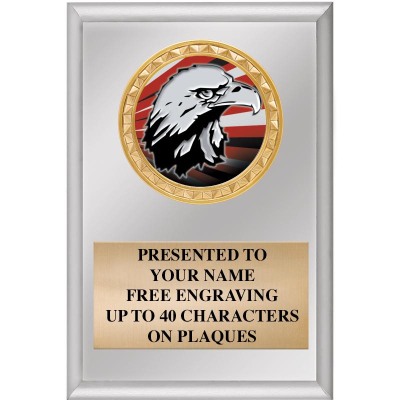 4" X 6" SILVER INSERT PLAQUE