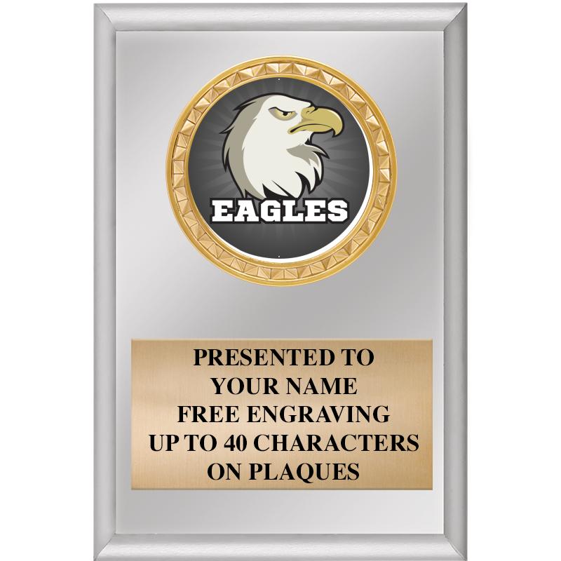 4" X 6" SILVER INSERT PLAQUE