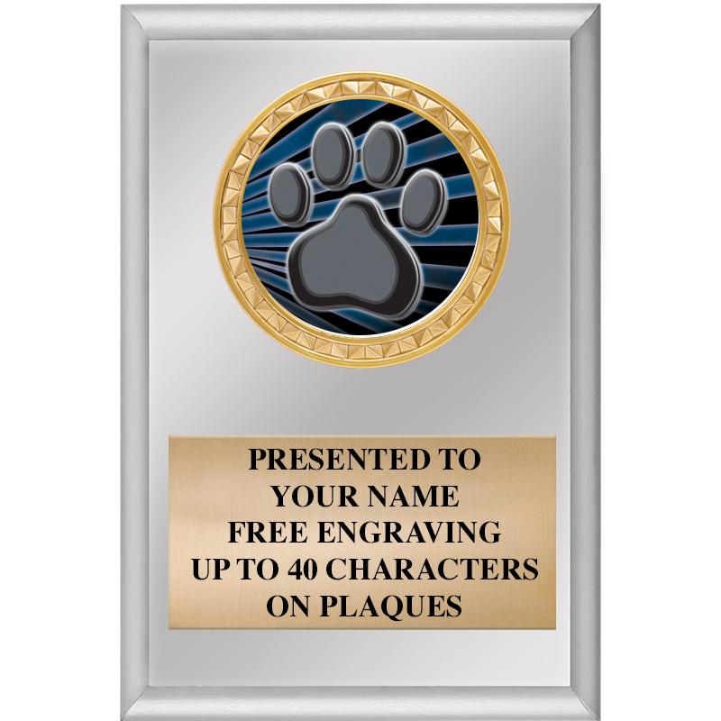 4" X 6" SILVER INSERT PLAQUE