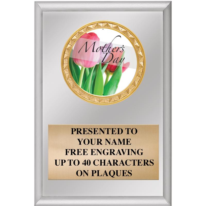 4" X 6" SILVER INSERT PLAQUE