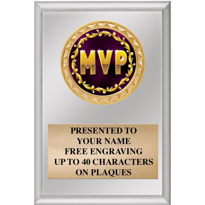 4" X 6" SILVER INSERT PLAQUE