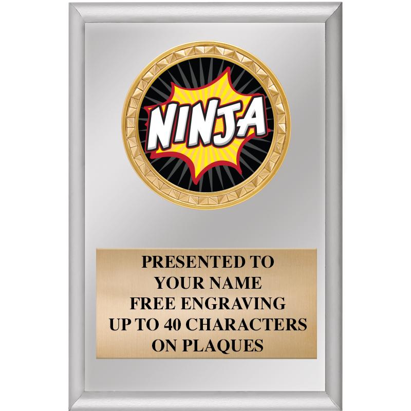 4" X 6" SILVER INSERT PLAQUE