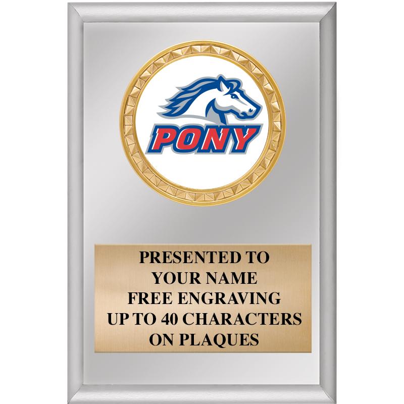 4" X 6" SILVER INSERT PLAQUE