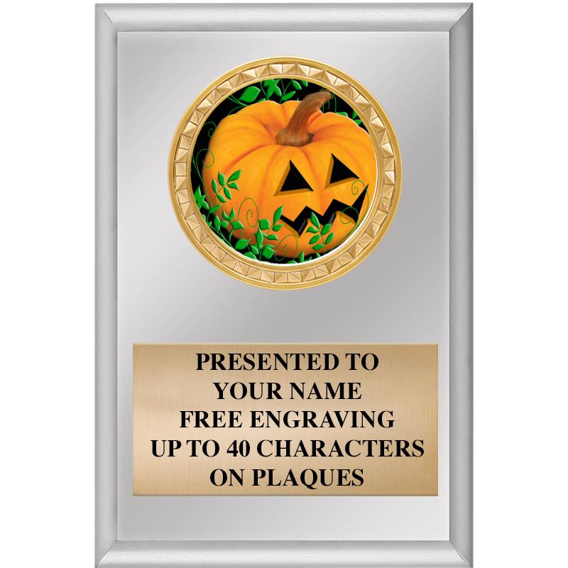 4" X 6" SILVER INSERT PLAQUE