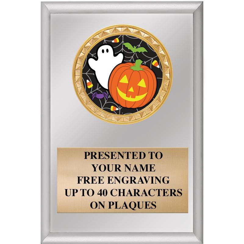 4" X 6" SILVER INSERT PLAQUE