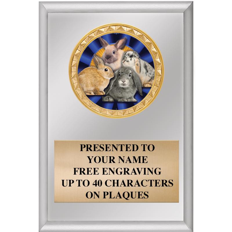 4" X 6" SILVER INSERT PLAQUE