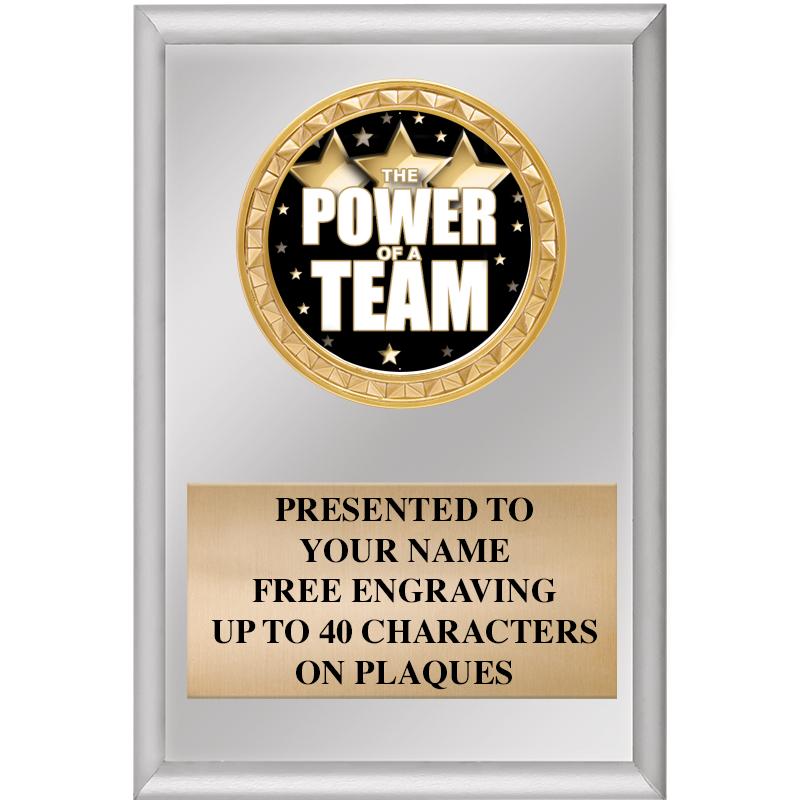 4" X 6" SILVER INSERT PLAQUE