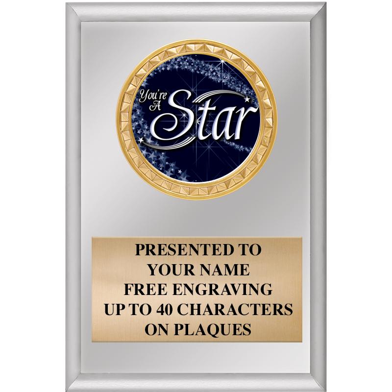 4" X 6" SILVER INSERT PLAQUE