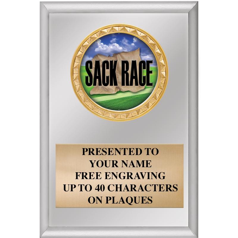 4" X 6" SILVER INSERT PLAQUE