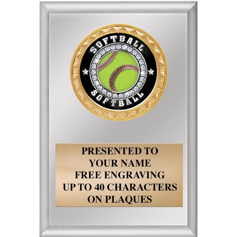 4" X 6" SILVER INSERT PLAQUE