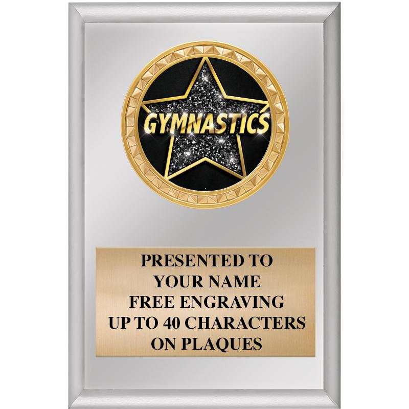 4" X 6" SILVER INSERT PLAQUE