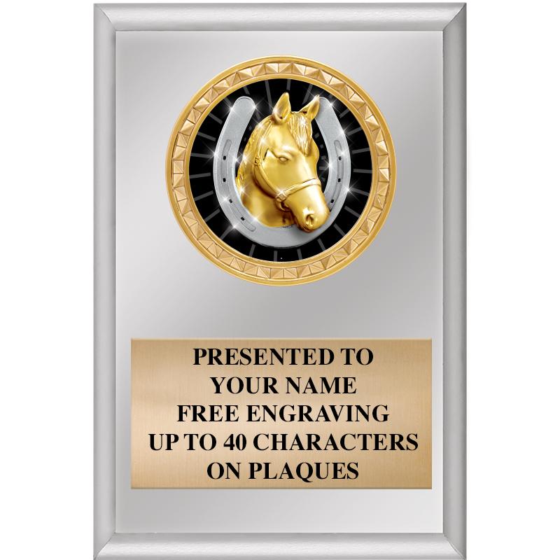 4" X 6" SILVER INSERT PLAQUE