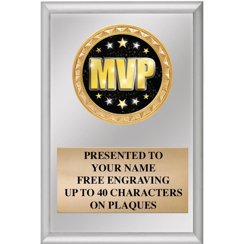 4" X 6" SILVER INSERT PLAQUE