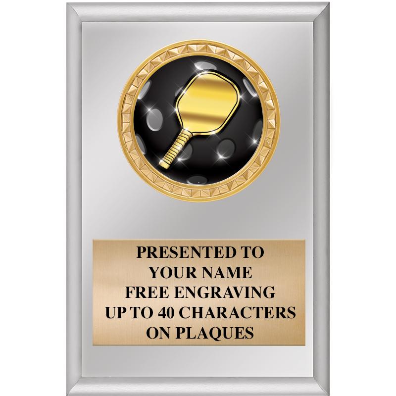 4" X 6" SILVER INSERT PLAQUE