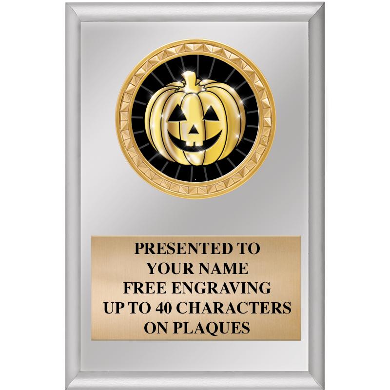 4" X 6" SILVER INSERT PLAQUE