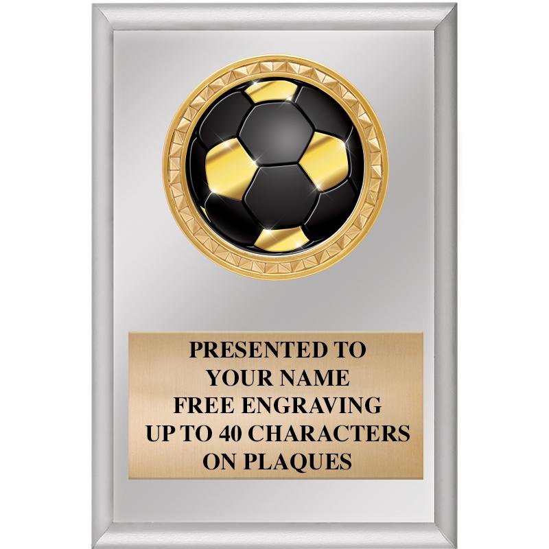 4" X 6" SILVER INSERT PLAQUE