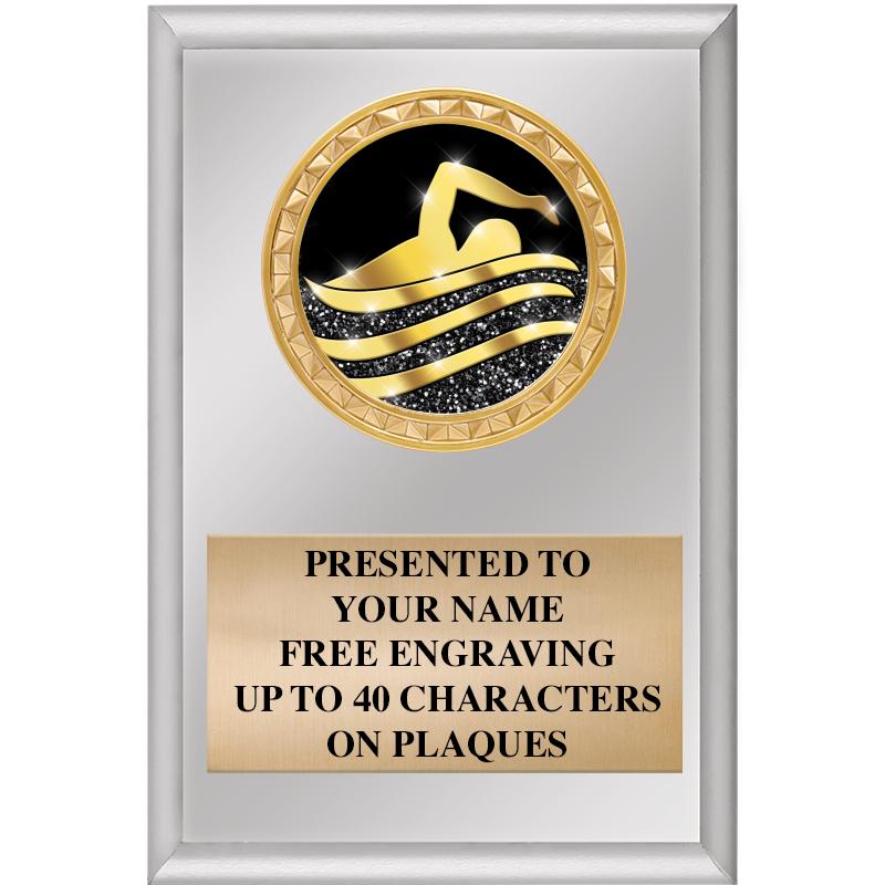 4" X 6" SILVER INSERT PLAQUE