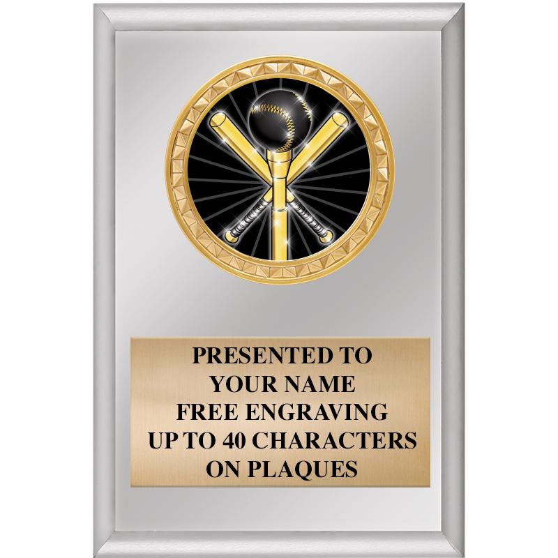 4" X 6" SILVER INSERT PLAQUE