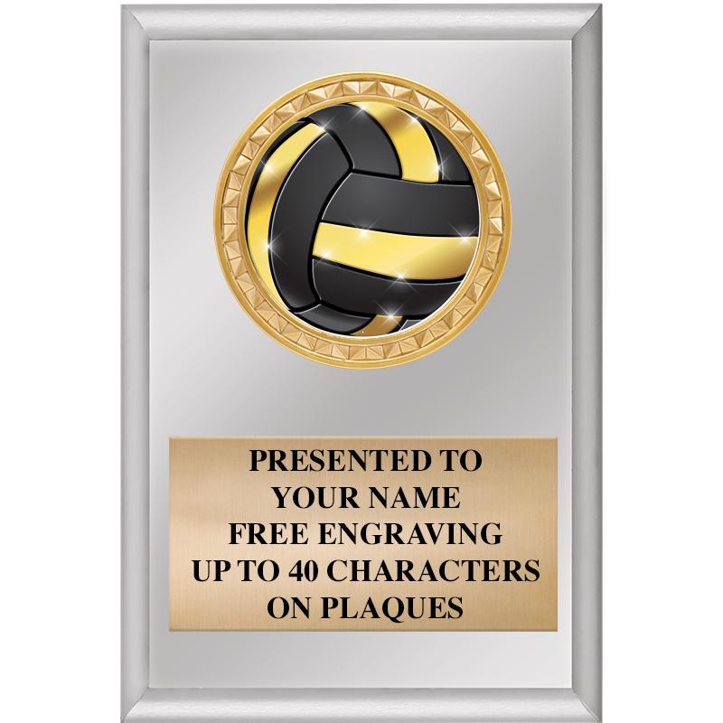 4" X 6" SILVER INSERT PLAQUE