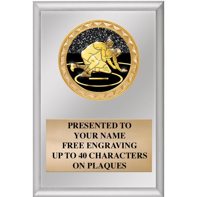 4" X 6" SILVER INSERT PLAQUE