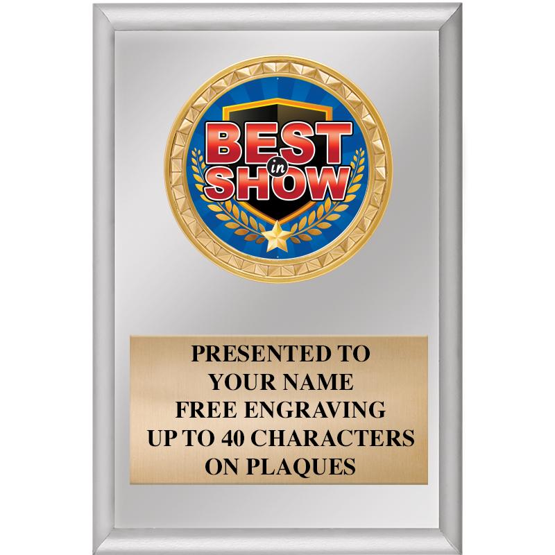 4" X 6" SILVER INSERT PLAQUE